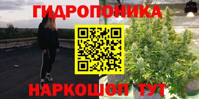 PSILOCYBIN Бугуруслан
