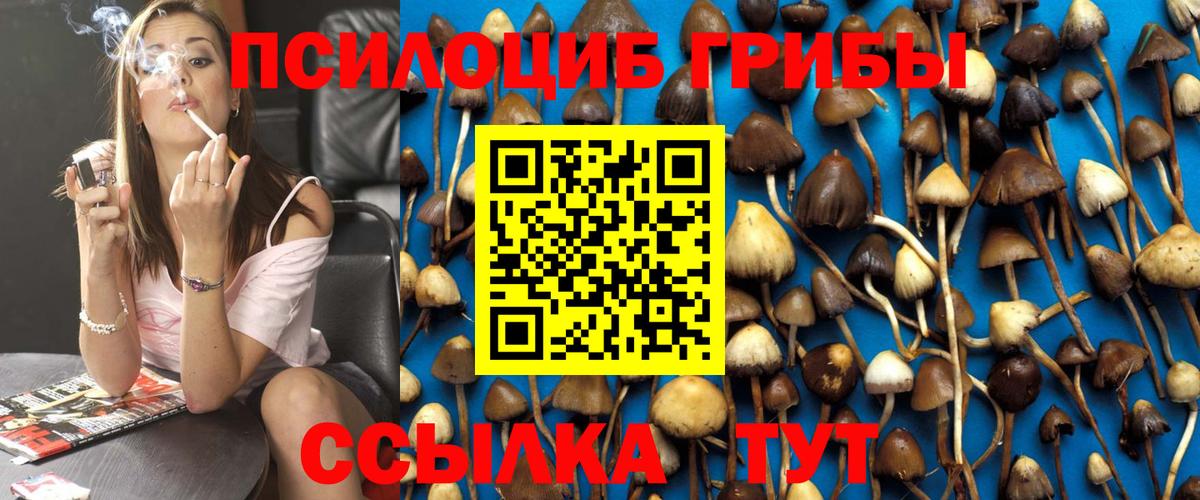 Глазов  Галлюциногенные грибы MAGIC MUSHROOMS  цена наркотик  Вход с VPN 